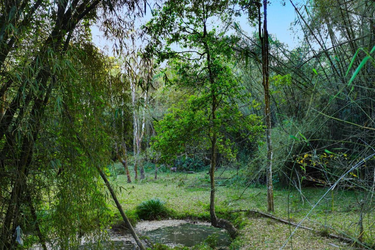 Keys Prima By Lemon Tree Hotels, Thekkady Exteriör bild